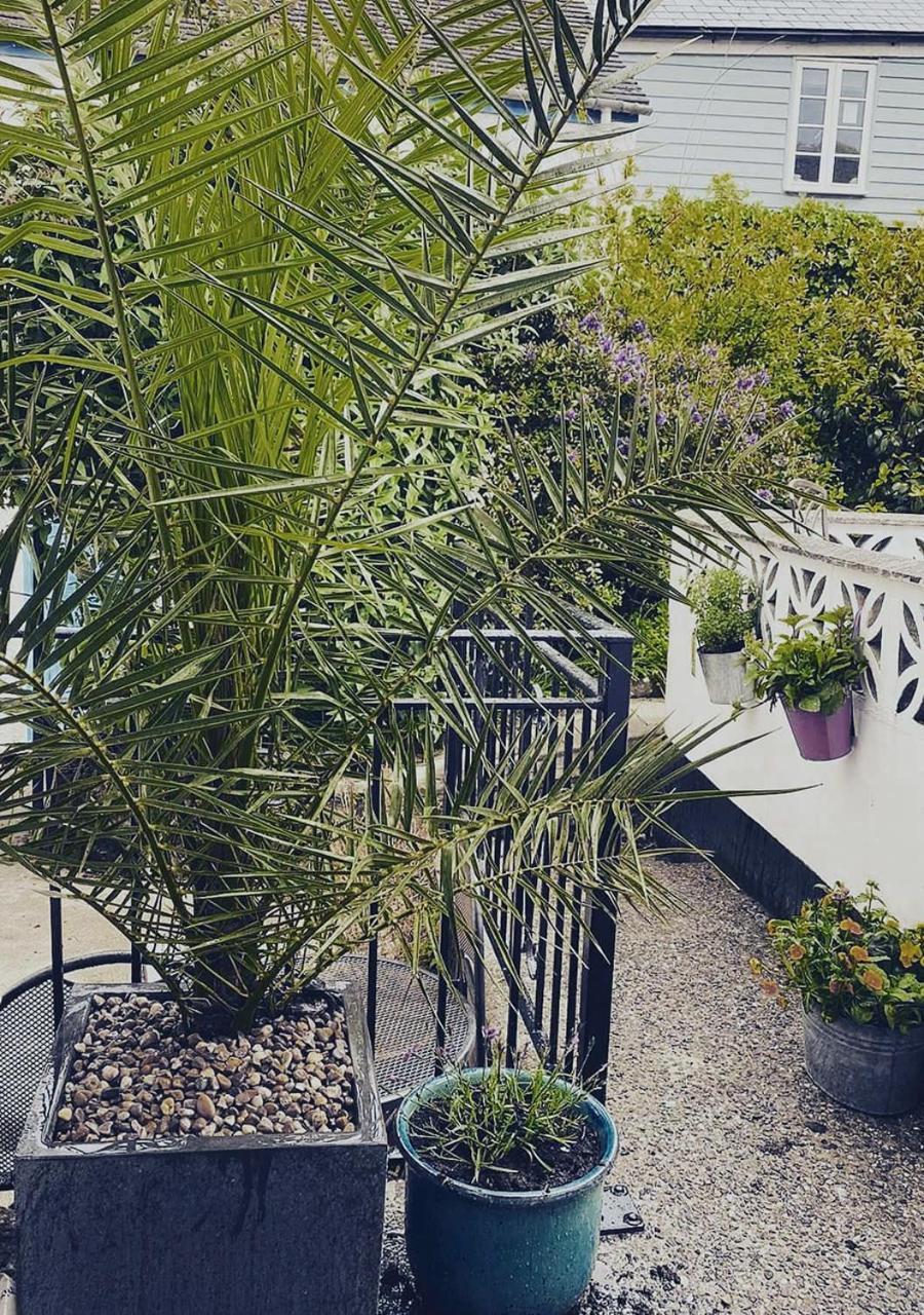 Sea Shanty Cottage Newlyn Exterior foto